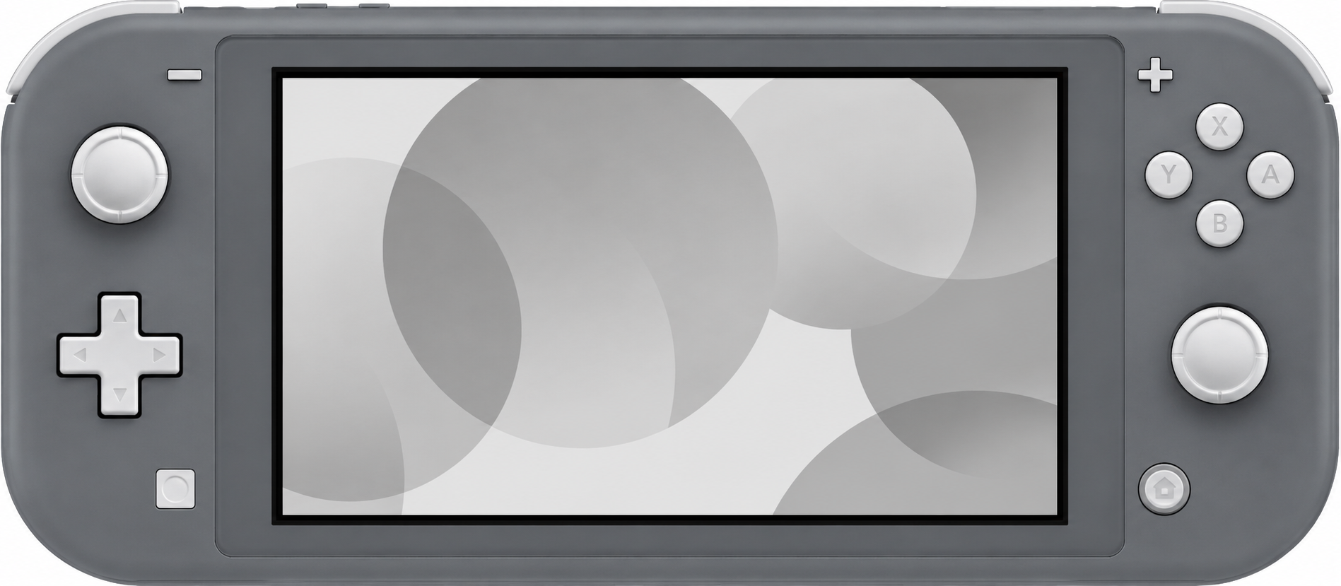 Switch lite